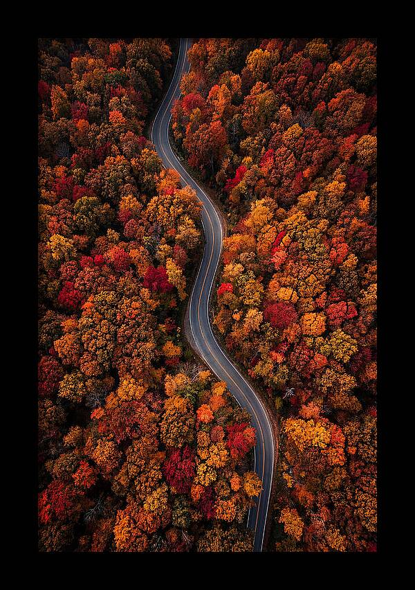 Autumns Vibrant Pathways