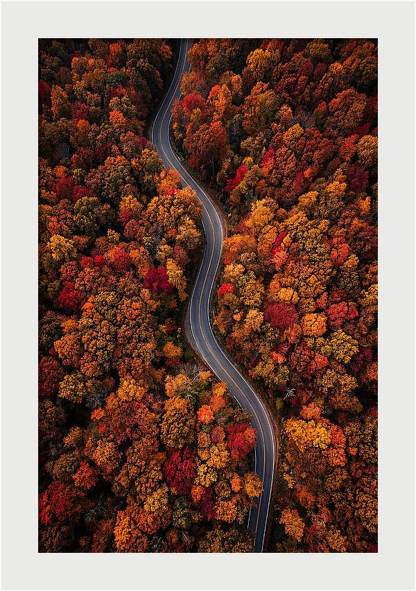 Autumns Vibrant Pathways