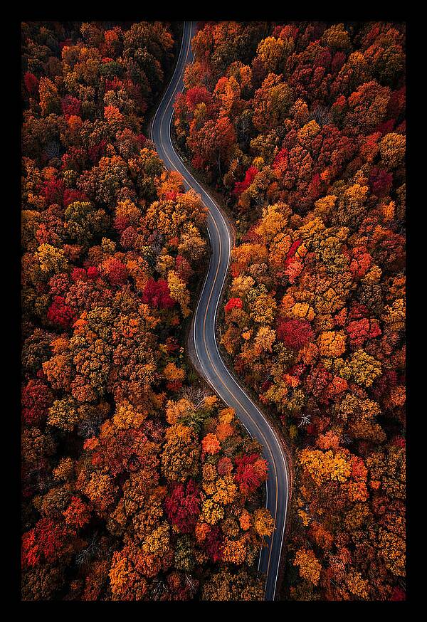 Autumns Vibrant Pathways