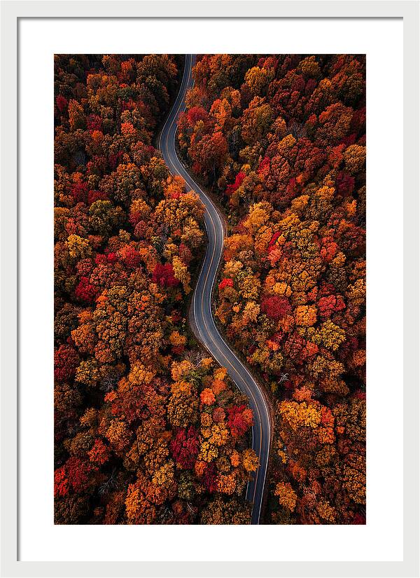 Autumns Vibrant Pathways