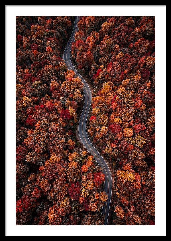 Autumns Vibrant Pathways