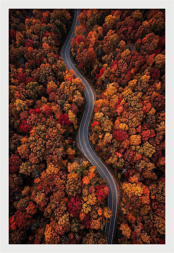 Autumns Vibrant Pathways