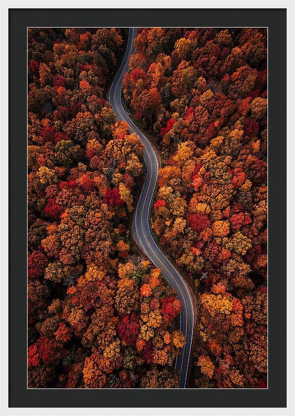 Autumns Vibrant Pathways