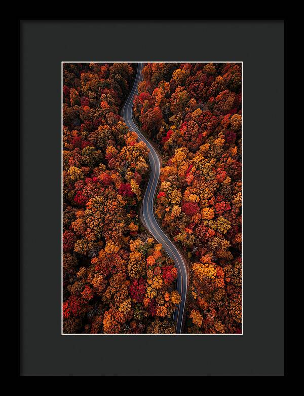 Autumns Vibrant Pathways