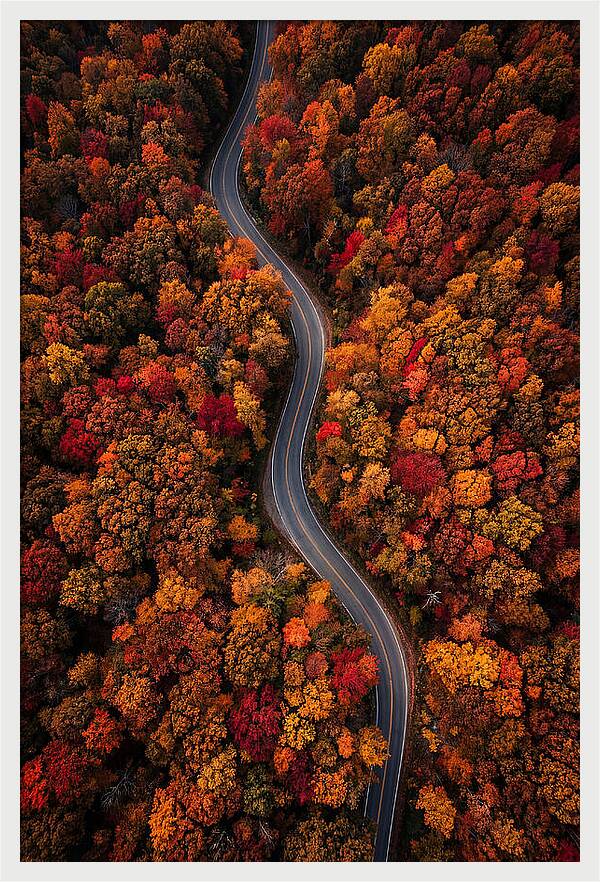 Autumns Vibrant Pathways