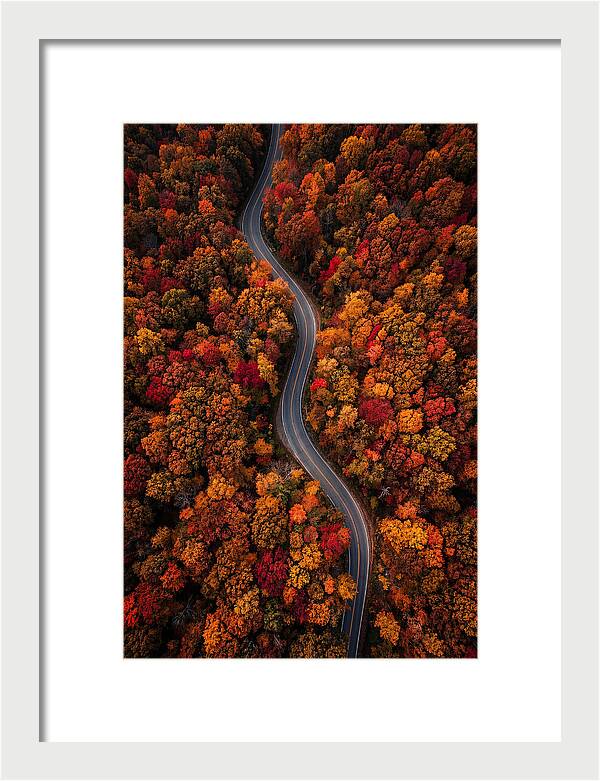 Autumns Vibrant Pathways