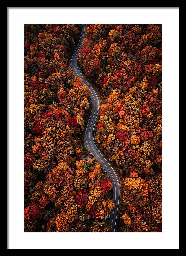 Autumns Vibrant Pathways