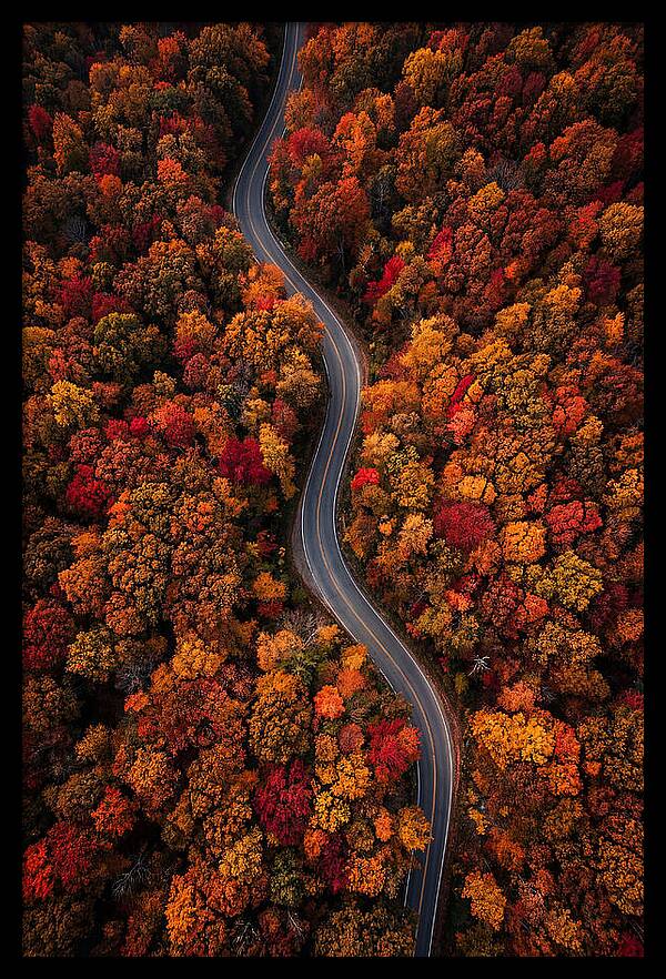 Autumns Vibrant Pathways