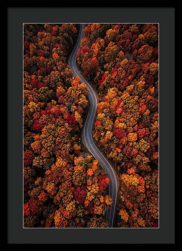 Autumns Vibrant Pathways