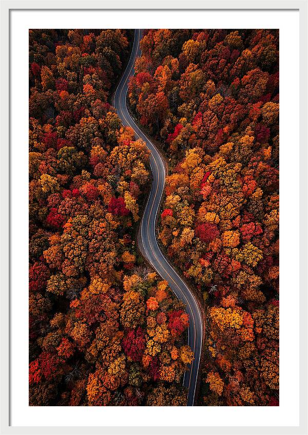 Autumns Vibrant Pathways