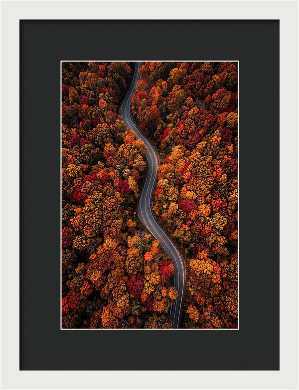Autumns Vibrant Pathways