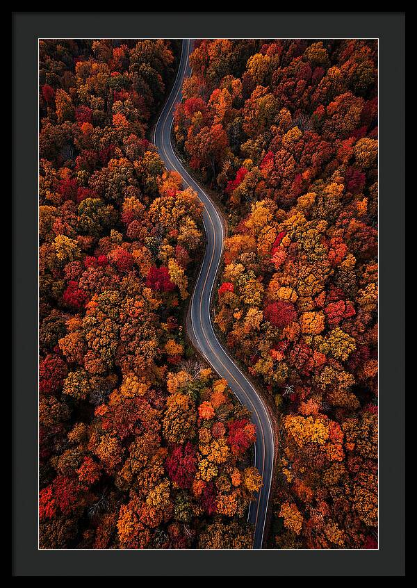 Autumns Vibrant Pathways