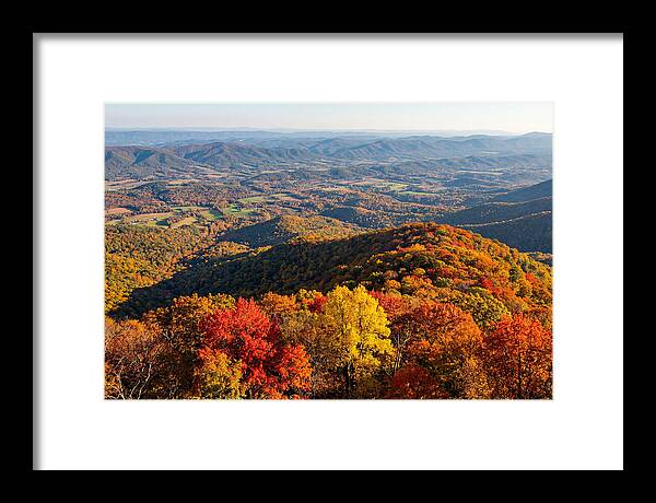Autumns Vibrant Tapestry