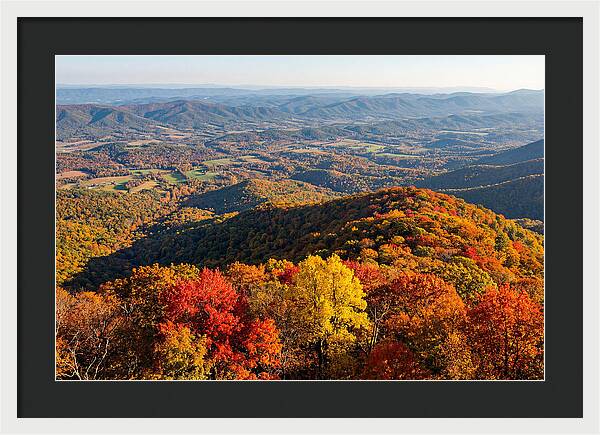 Autumns Vibrant Tapestry