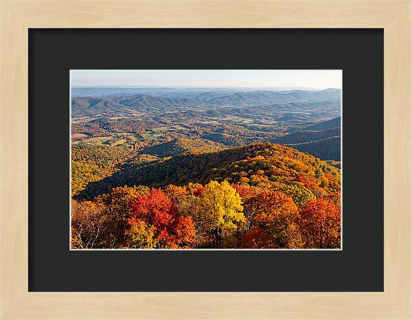 Autumns Vibrant Tapestry