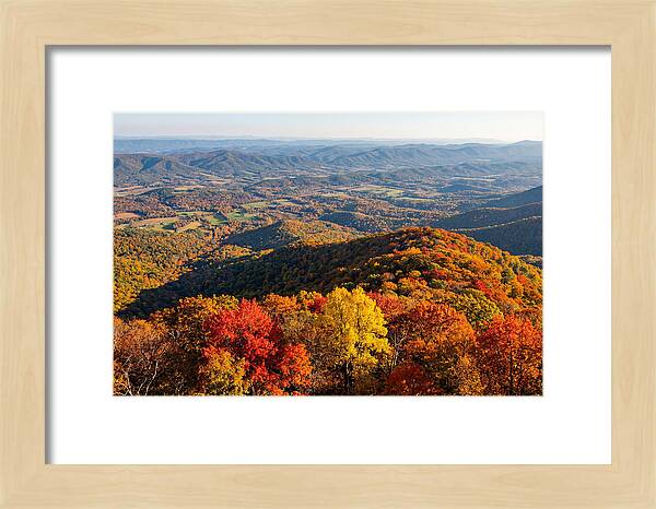 Autumns Vibrant Tapestry