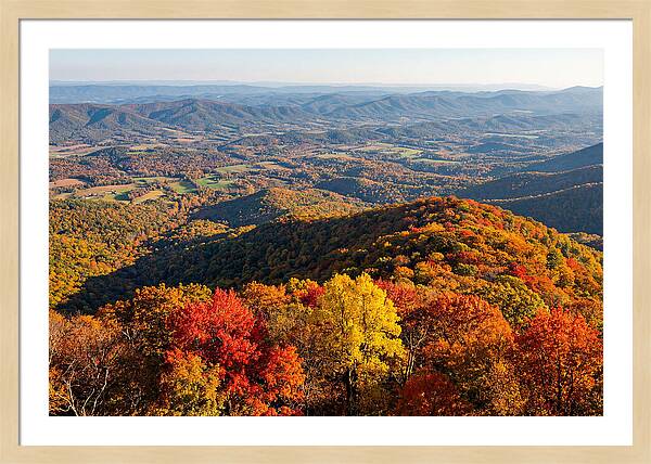 Autumns Vibrant Tapestry