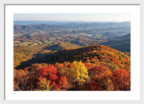 Autumns Vibrant Tapestry