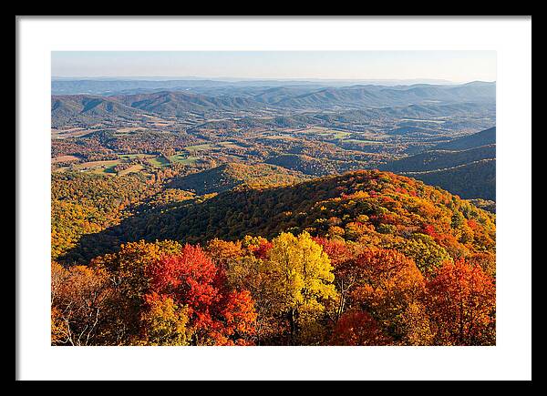 Autumns Vibrant Tapestry
