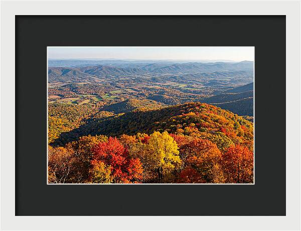 Autumns Vibrant Tapestry