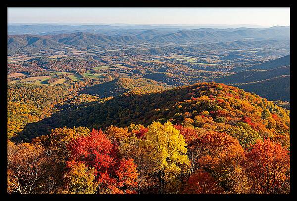 Autumns Vibrant Tapestry