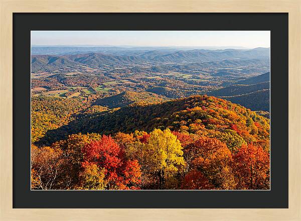 Autumns Vibrant Tapestry