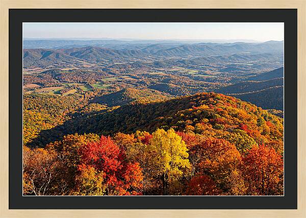 Autumns Vibrant Tapestry