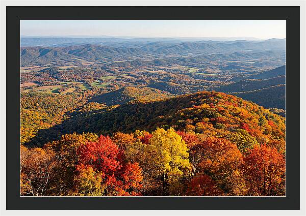 Autumns Vibrant Tapestry