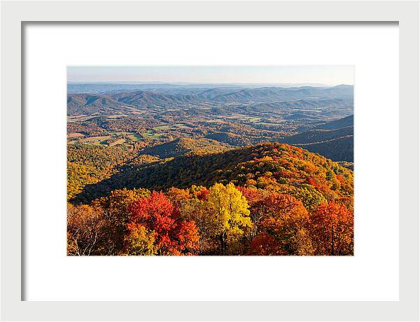Autumns Vibrant Tapestry