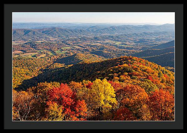 Autumns Vibrant Tapestry