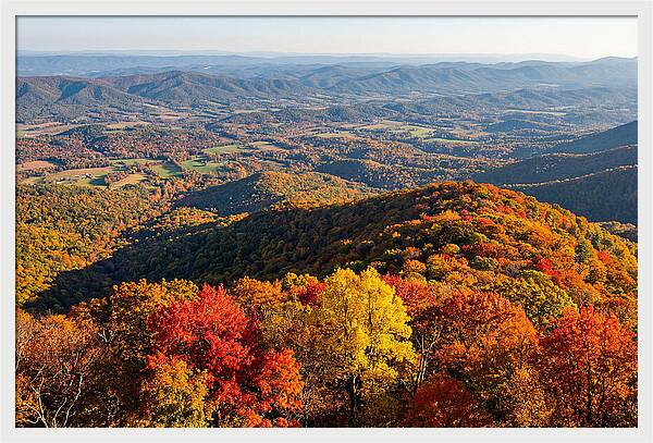 Autumns Vibrant Tapestry