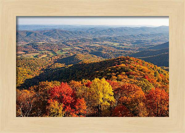 Autumns Vibrant Tapestry