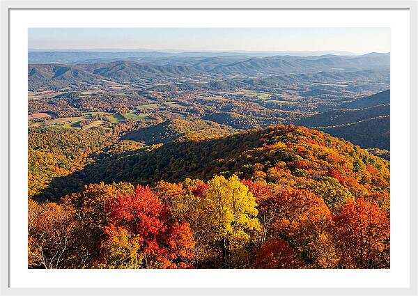 Autumns Vibrant Tapestry