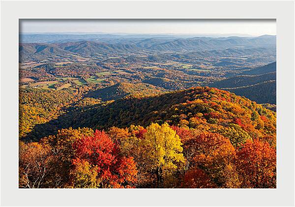 Autumns Vibrant Tapestry