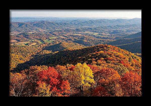 Autumns Vibrant Tapestry