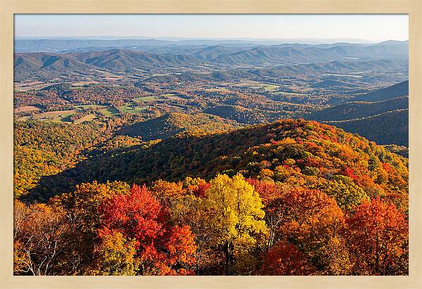 Autumns Vibrant Tapestry