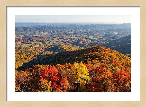 Autumns Vibrant Tapestry