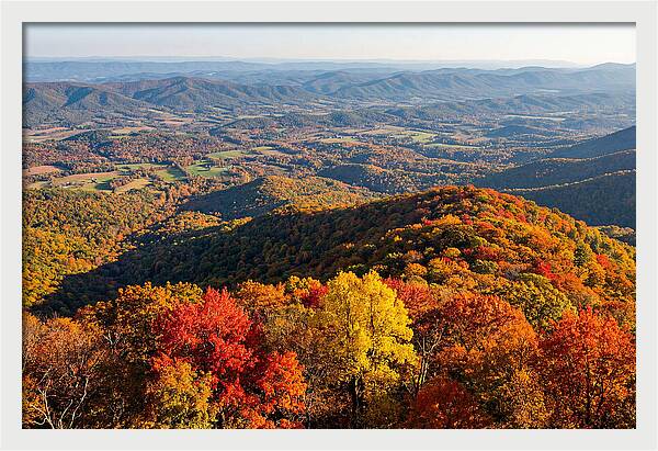 Autumns Vibrant Tapestry