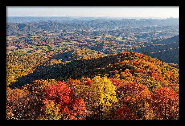 Autumns Vibrant Tapestry