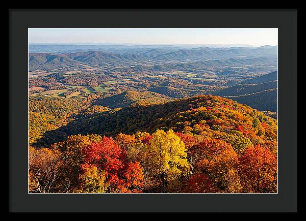 Autumns Vibrant Tapestry