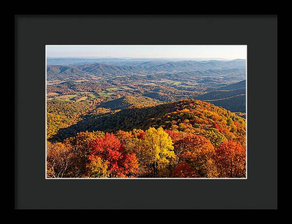 Autumns Vibrant Tapestry
