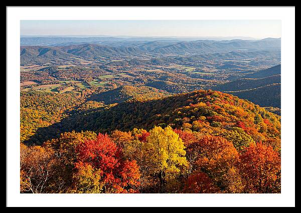 Autumns Vibrant Tapestry