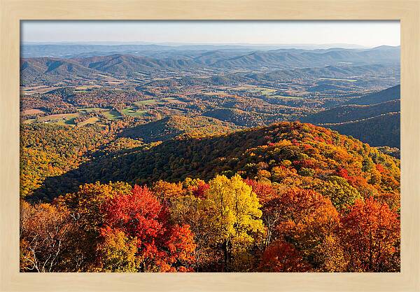 Autumns Vibrant Tapestry