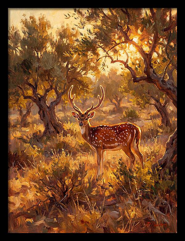 Axis Deer In Golden Light
