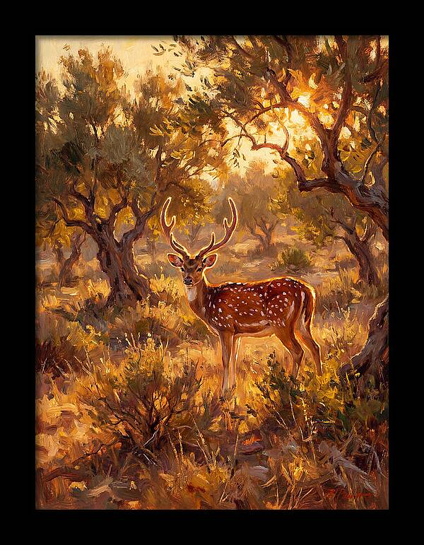 Axis Deer In Golden Light