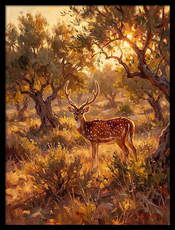 Axis Deer In Golden Light