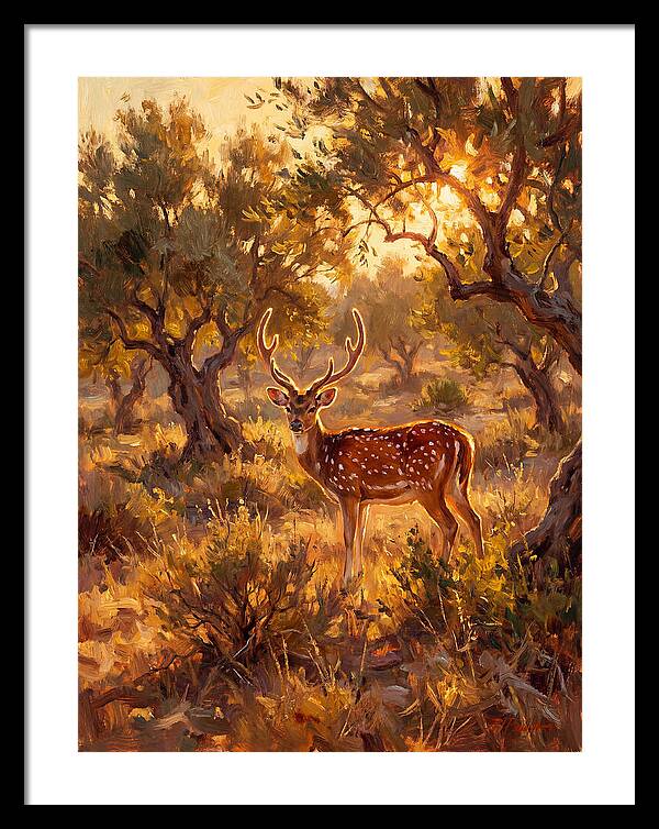 Axis Deer In Golden Light