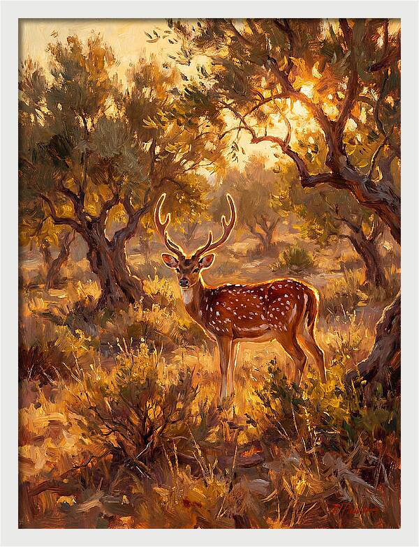 Axis Deer In Golden Light