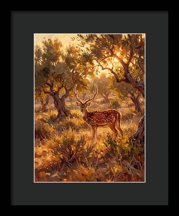 Axis Deer In Golden Light