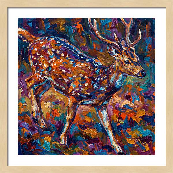 Axis Deer In Vibrant Colors